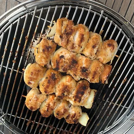 Minicrociereinbarca *